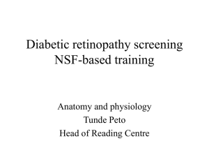 Diabetic retinopathy screening NSF