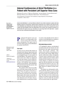 Internal Cardioversion of Atrial Fibrillation in a Patient with Persistent