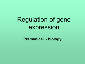 Gene expression of eukaryotic cells