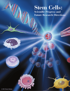 Stem Cells: Scientific Progress and Future Research Directions