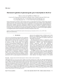 Hormonal regulation of gluconeogenic gene transcription in the liver