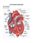 Unit 10 Student Guided Notes Heart -Introduction Parts of the Heart