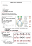 Cranial Nerve Examination