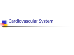 cardiovascular