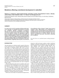 Mutations affecting craniofacial development in zebrafish
