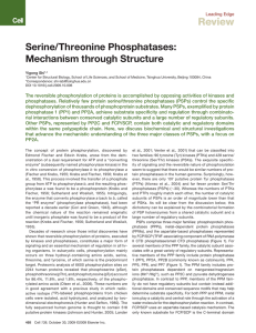 Serine/Threonine Phosphatases