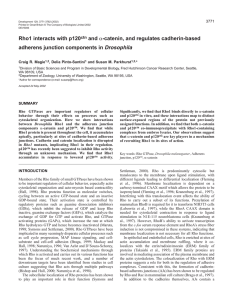 Full Text - Labs / Projects - Fred Hutchinson Cancer Research Center