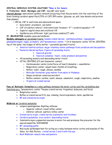 CNS lecture
