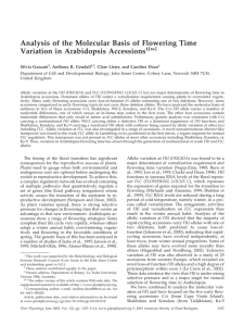 Analysis of the Molecular Basis of Flowering Time Variation in