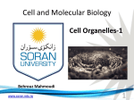 Cell and Molecular Biology