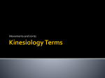 Kinesiology PPT Kinesiology Terms