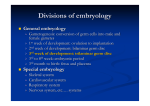 Divisions of embryology