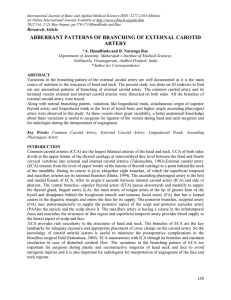 abberrant patterns of branching of external carotid artery