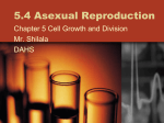 5.4 Asexual Reproduction