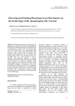 Flowering and Fruiting Phenology of 24 Plant Species