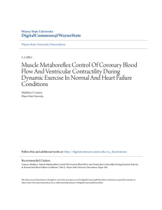 Muscle Metaboreflex Control Of Coronary Blood Flow And