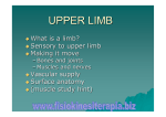 upper limb - Fisiokinesiterapia