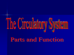 Circulatory System