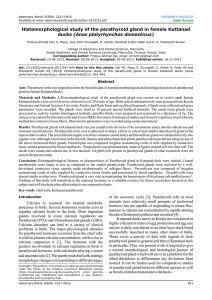 Histomorphological study of the parathyroid gland