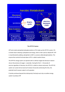 The ATP-PCr energy system can operate with or without oxygen but