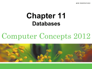Chapter 11 - Business and Computer Science