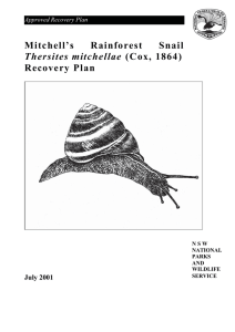 Mitchell`s rainforest snail - Office of Environment and Heritage