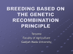 basic features of breeding