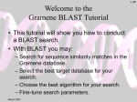 BLAST_tutorial