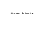 Biomolecule Practice