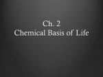 Ch. 2 Chemical Basis of Life