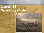 Chapter 14 The History of Life