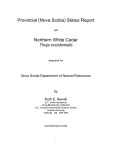 Provincial (Nova Scotia) Status Report Northern White Cedar