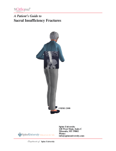 PDF Booklet - Spine University