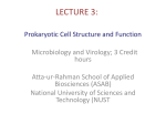 lecture 3 - UG 2014
