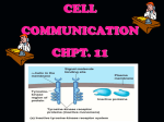 Signal Receptors 4 types