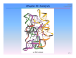 Chapter 23: Catalysis