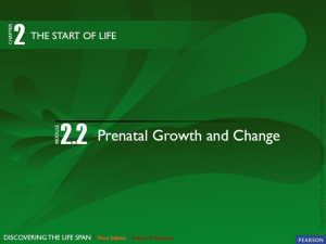Life span chapter 2-2 File