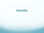 Notes Heredity File