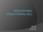Mesenchymal stem/stromal cell