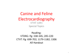 Canine and Feline Electrocardiography