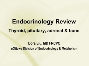 B2B Endocrinology Review Thyroid, pituitary, adrenal