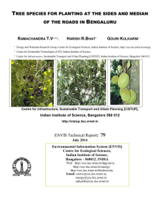 TREE SPECIES FOR PLANTING AT THE SIDES AND MEDIAN OF