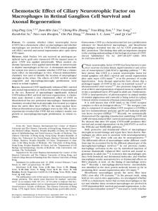 Chemotactic Effect of Ciliary Neurotrophic Factor on Macrophages in