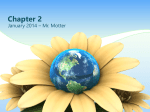 Earth in Yellow Flower