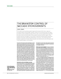 the brainstem control of saccadic eye movements