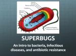 Superbugs