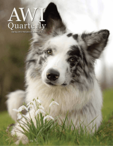 Quarterly - Omega Horse Rescue