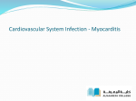 Cardiovascular System Infection - Myocarditis