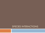 SpeciesInteractions
