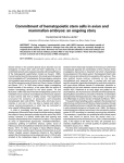 Commitment of hematopoietic stem cells in avian and mammalian